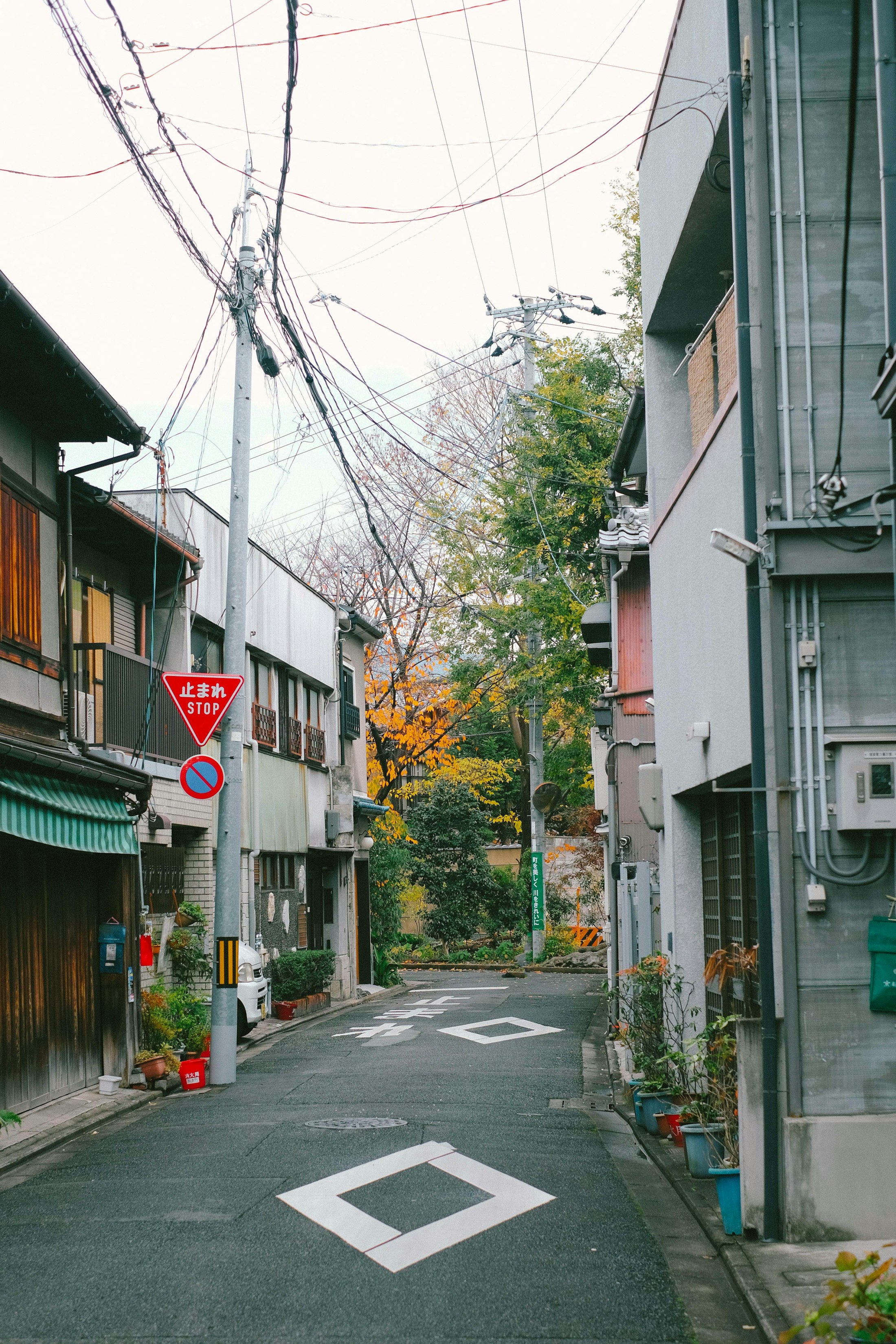 日本